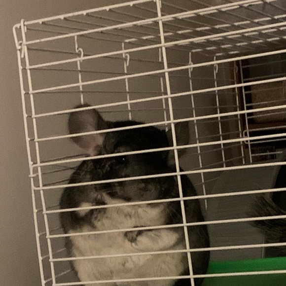 Meet your Posher, Kirstin - Picture 1 of 1